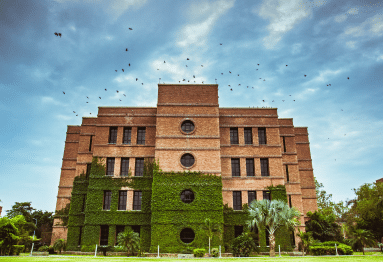 Strengthening Institutions